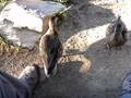 videos de My friends at Bierstadt Lake