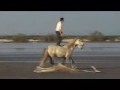 Lorenzo National Horse Show
