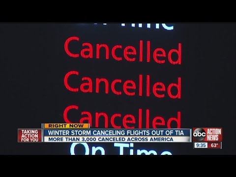 'Historic' snowstorm and blizzard already affecting flights at Tampa International Airport (TPA)