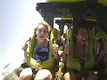 raptor