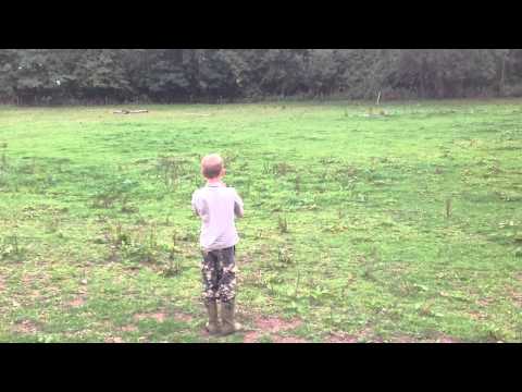- Fallowfen Training Kennels - Fallowfen Training Kennels