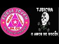 trofeus da torcida jovem fla e aliadas