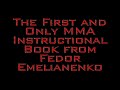 fedor: the fighting system of the king of mma