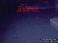 videos de nelson robandose magdalena