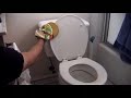 Re: Obsessive Toilet Flushing Cat