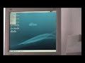 Linux Zenwalk