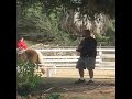 Scarlett pony ride_0001.wmv