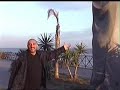 stele-ficaria