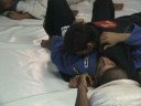jiu jitsu brasile�o gimnasio gil catarino(maspalomas)