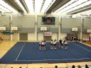 FT baboons HCC -08 FT baboons HCC -08