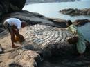 Some of my favorite pictures of Goa - A JOURNEY ROUND GOA