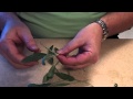 Propagation by Cutting