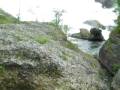 Rhein Falls