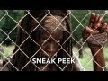 The Walking Dead 3.07 Clip 1