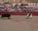 concurso de recortes azagra 2007