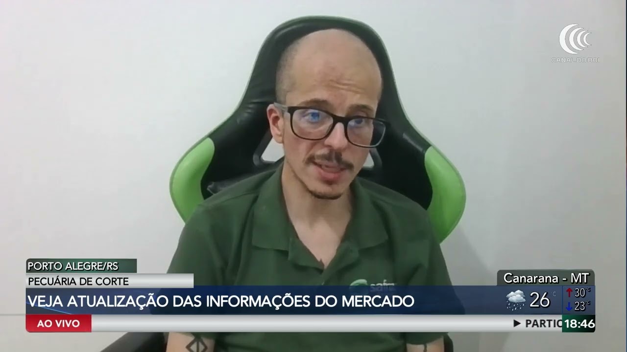 Mercado do boi gordo segue em recuperação e expectativa é de alta