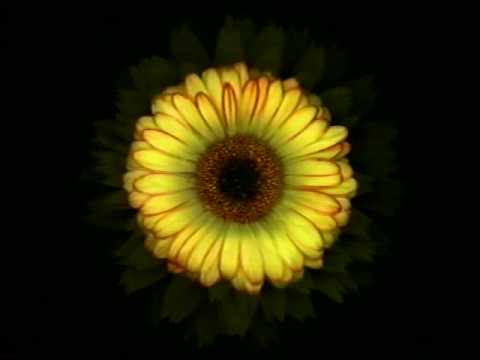 Image de prévisualisation YouTube