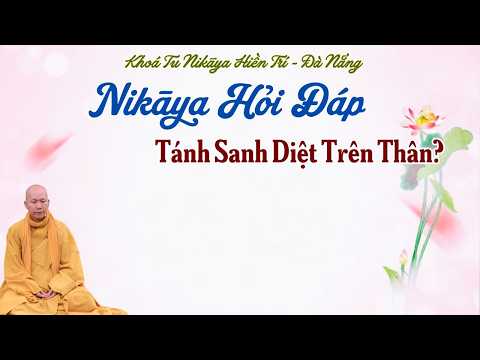 NIKAYA Hỏi Đáp - Tánh Sanh Diệt Trên Thân?
