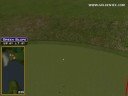 Golden Tee Great Shot on Sunny Wood!
