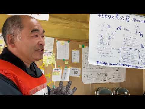 動画