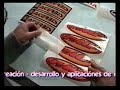 TRAZO DISEÑADORES ( VALLENAR - CHILE )