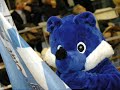 vid�o sur le montpellier handball
