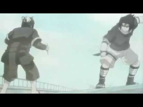 Naturo-Linkin Park