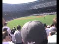 Yankees Bleacher Creature Roll Call - MELKY!!