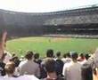 Yankees Bleacher Creature Roll Call - MELKY!!
