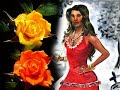 Ponto - Pomba Gira - Arreda homem - Dona da rosa - Se tu �s