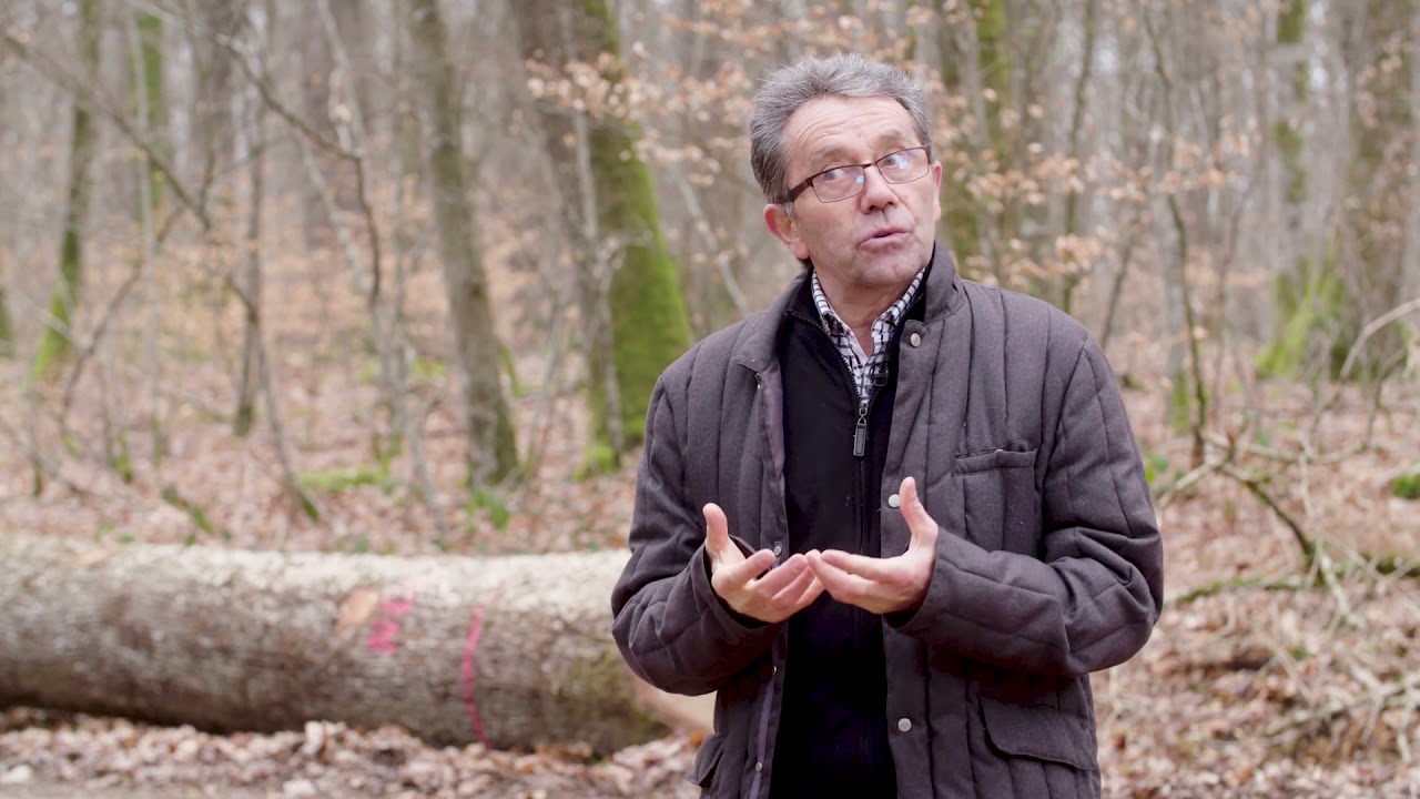  🔥 Episode 4 Rebâtir Notre-Dame Blondefontaine (Haute-Saône)