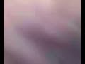 PETER CAPUSOTTO TOMANDO HELADO apaleando a la Zorra