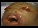 Rare Baby!!  : O