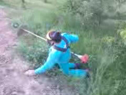 Stihl mester