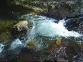 mindfulness meditation - flowing stream