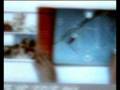 videos de STADIUMAGAZINE[C]
