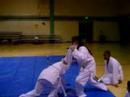 Triggered Salute w/ arm bar 3
