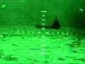 Last Moments of the LTTE's Floating weapon dumps