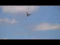 CYBIRD FIRST FLIGHT CYBIRD FIRST FLIGHT