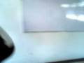 videos de cbtis 162 WWE