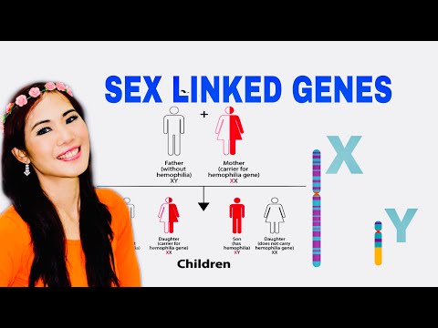SEX LINKED GENES