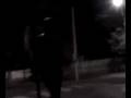videos de menina doida, toca d roda