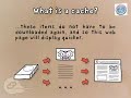 How to clear my cache with Safari for Mac