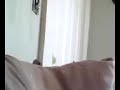 buddy-doogal-the-quaker-plays-peekaboo.html
