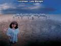 Lucidream - Lady Midnight