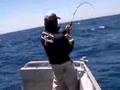 Jigging Samson Fish ジギング　南カンパチ　２分５７秒