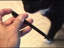 The Simple Stink Pen!