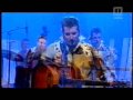 STRAY CAT STRUT by The Lucky Cupids L I V E