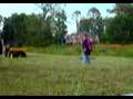 hey yall watch this..........