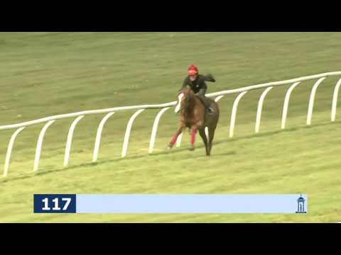 Guineas Breeze Up Sale 'Breezes'